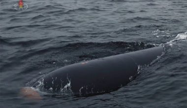 Δοκιμή τορπίλης με τεχνητή νοημοσύνη από τη Βόρεια Κορέα