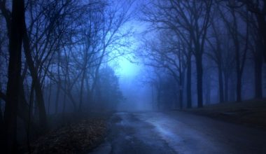 Clinton Road: Ο πιο στοιχειωμένος δρόμος του κόσμου βρίσκεται στο Νιου Τζέρσεϊ (βίντεο)