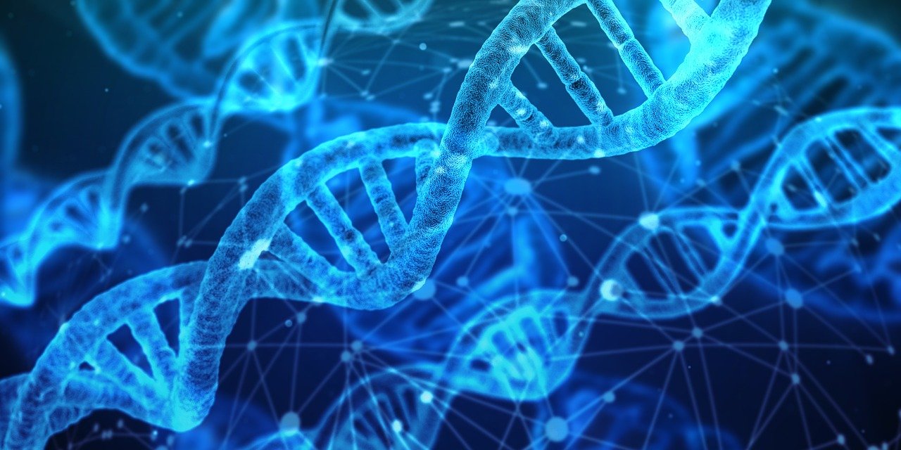 Πρώην ερευνήτρια της NASA θέλει να δημιουργήσει μονόκερους και δράκους μέσω γενετικής τροποποίησης