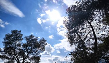 Καιρός: Ηλιοφάνεια σήμερα και μικρή πτώση της θερμοκρασίας – Πού αναμένονται ασθενείς βροχές