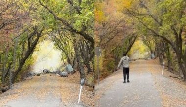 ΗΠΑ: Τεράστιοι βράχοι κατρακύλησαν σε δημοφιλές μονοπάτι στη Γιούτα (βίντεο)