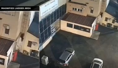 Η Υπηρεσία Πληροφοριών της Ρουμανίας έβαλε τέλος σε δίκτυο δολιοφθορών (βίντεο)