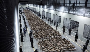 Ελ Σαλβαδόρ: Καταγγελίες για 582 νεκρούς στις φυλακές και βασανιστήρια κρατουμένων