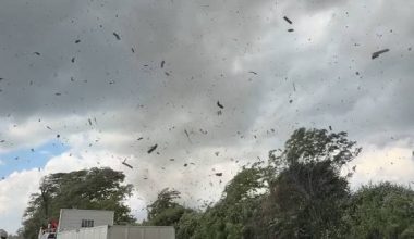Καταστροφικός ανεμοστρόβιλος κατηγορίας EF2 έπληξε την κεντρική Χιλή: Σοβαρές ζημιές σε κατοικίες