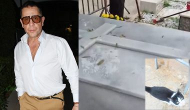 Εργασίες στον οικογενειακό τάφο του Γιώργου Μαζωνάκη στη Νίκαια: Ο γατούλης Μάιλο πιστός «φρουρός»