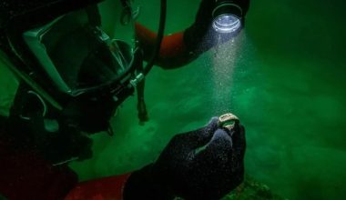 Βρέθηκε αρχαίο ελληνικό δαχτυλίδι που απεικονίζει το Φάρο της Αλεξάνδρειας!