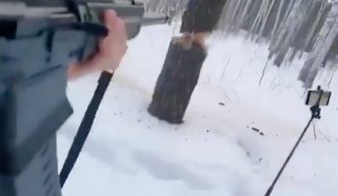 Ρωσία: Έριξε δέντρο πυροβολώντας το επανειλημμένα (βίντεο)
