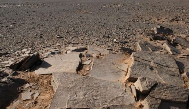 Δυτική Σαχάρα: Ανακάλυψαν τάφο 4.400 ετών – Τι αποκάλυψε η ανασκαφή (φώτο)
